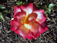 photos 2000-200902549